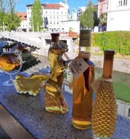 Panjska končnica