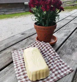 Domači sir Planina Javornik
