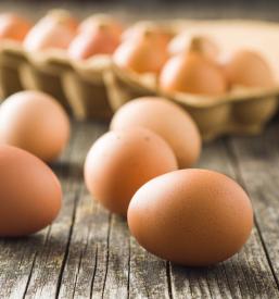 Domača jajca za prodajo Preddvor