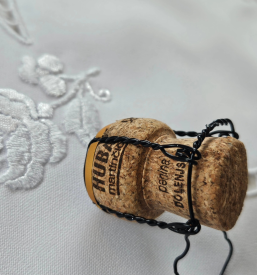 Prostor za zaključene družbe in vino Dolenjska