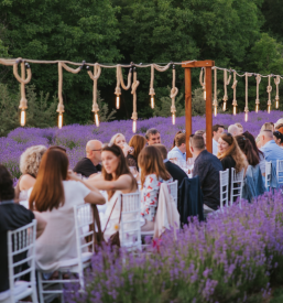 Poroka med sivko Kamnica