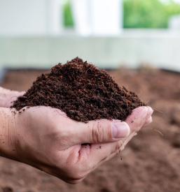 Razvoj kmetijstva Pomurje