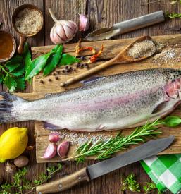 Ugodne jedi po naročilu Koper