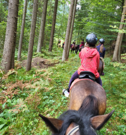 Doživetja in izobraževalni programi za otroke Zavod Montana