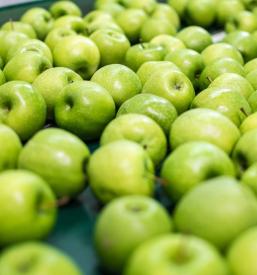 Prodaja jabolk