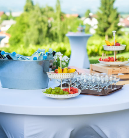 Tradicionalna gostilna Dolenjska