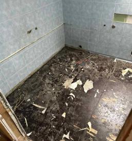 Adaptacija in prenova kopalnice Maribor, Štajerska