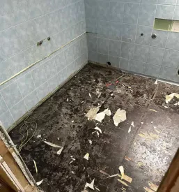 Adaptacija in prenova kopalnice Maribor, Štajerska