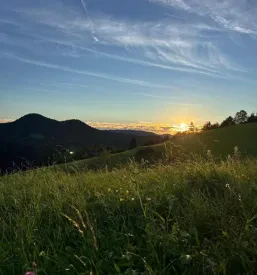 Ekološko sadje in zelenjava Žiri