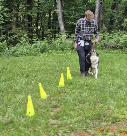 Pasja šola Turjak, Grosuplje