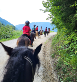 Jahanje konj za otroke Gorenjska