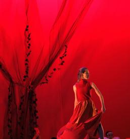 Mala plesna šola v Velenju