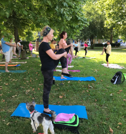 Tečaji joge Gorenjska