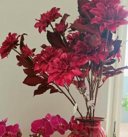 Šopki Osrednja Slovenija