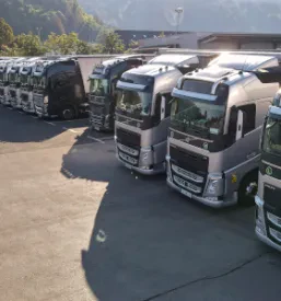 Organizacija tovornega transporta po Evropi