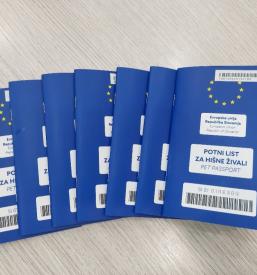 Veterinar Goriška in Kras