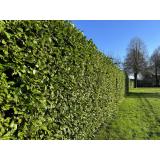 Gašper Pretnar s.p.