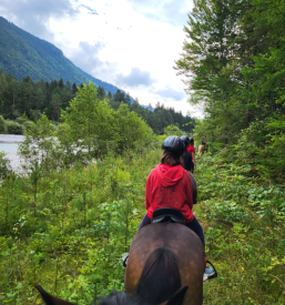 Jahanje konj Planina pod Golico
