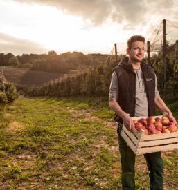 Ugodna prodaja domačih jabolk