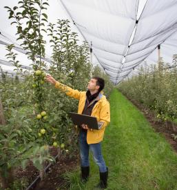 Strokovno svetovanje kmetom Radenci, Pomurje