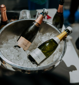 Degustacija vin Dolenjska