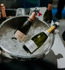 Degustacija vin Dolenjska