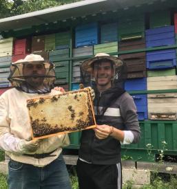 Cvetni prah Ljubljana