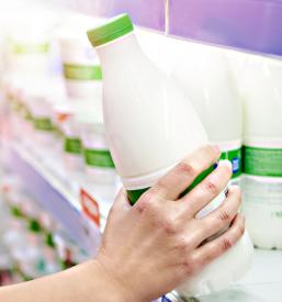 Predelava mleka v mlečne izdelke Preddvor