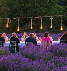 Poročna dvorana v nasadu sivke Štajerska