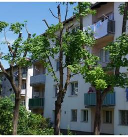 Prodaja izdelkov za zaščito gozdov v Sloveniji