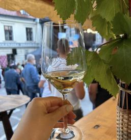 Degustacija domačih vin na Dolenjskem