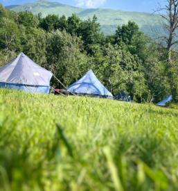 Dejavnosti za dijake Šolski center Krško-Sevnica