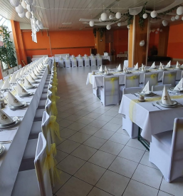 Prostor za zabave Ribnica