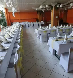 Prostor za zabave Ribnica