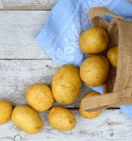 potato products Slovenia