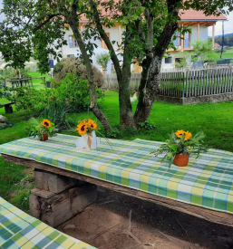 Priljubljena turistična kmetija z mlinom Celje