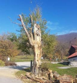 Kvalitetno urejanje okolice na Savinjskem