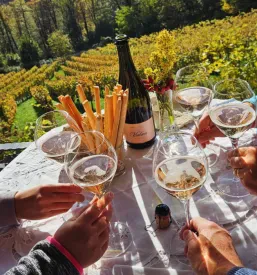 Degustacija vin za zaključene družbe Dolenjska