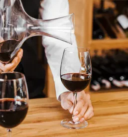 Vina iz Vipavske doline