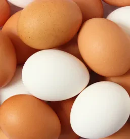 Sveža jajca izpod Storžiča