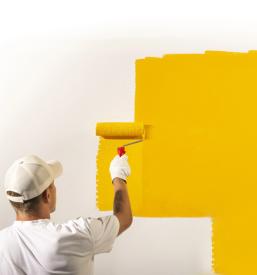 Slikopleskarska dela Osrednja Slovenija