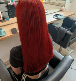 Barvanje las Cerknica