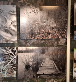 Razstave v Cankarjevi knjižnici Vrhnika