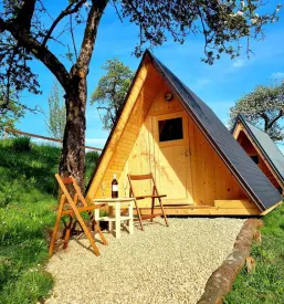 Camp Savinjska