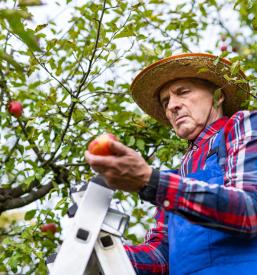Svetovanje za kmetije Radenci