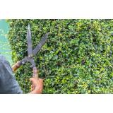 HORTUS, Klemen Levičnik s.p.