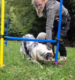 Pasja šola Turjak