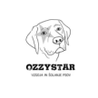 Ozzystar, Iva Virant s.p.