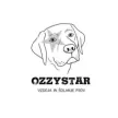 Ozzystar, Iva Virant s.p.