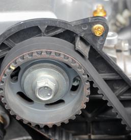 Iglasti transportni trakovi Slovenija